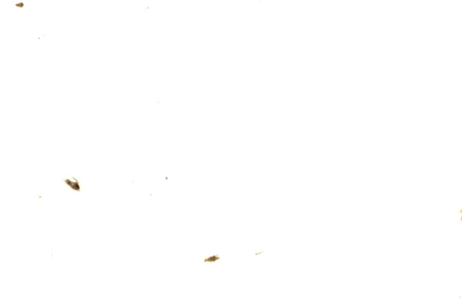 Image 73